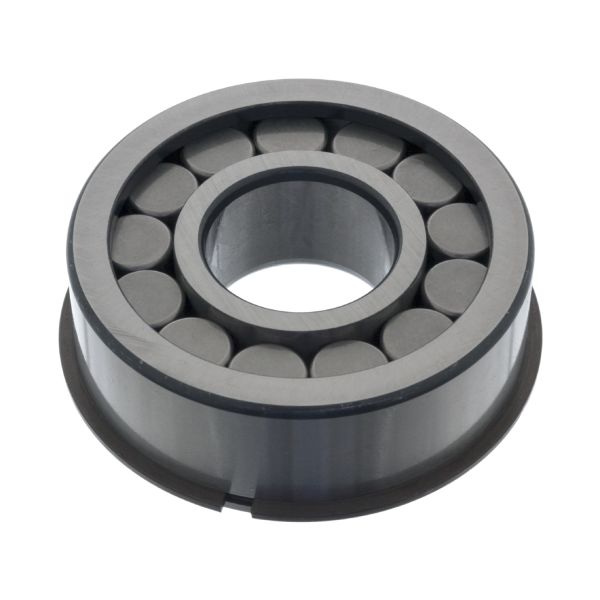 FEBI FE100673 Bearing