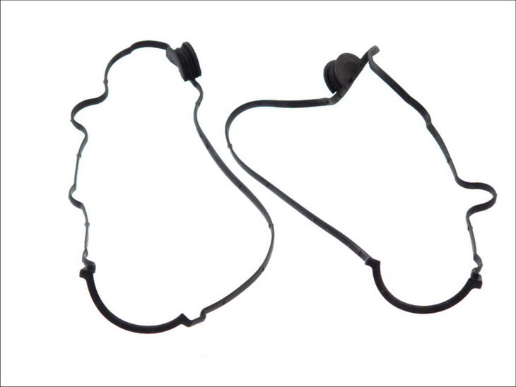 PAYEN HM5294 Cylinder Head Cover Gasket Set