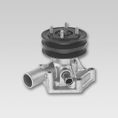 HEPU P1721 Water Pump
