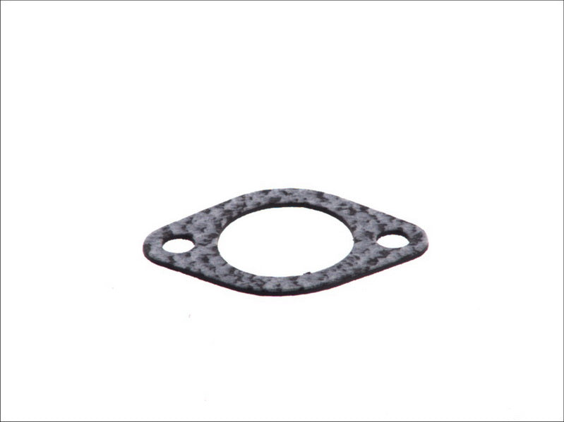LEMA LE24018.00 Water Pump Gasket