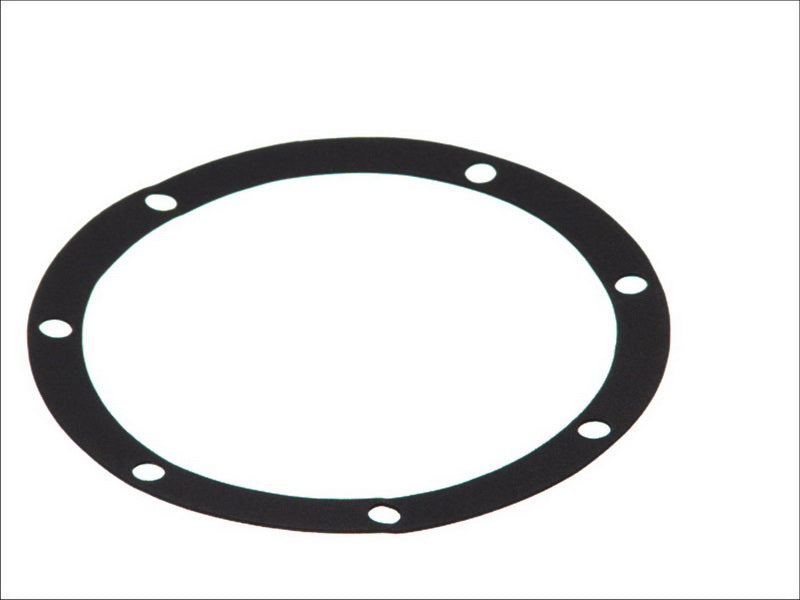 DT A/C 6.30081 Water Pump Gasket