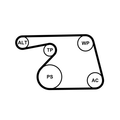 CONTITECH 6PK1318WP1 Water Pump + V-Ribbed Belt Kit