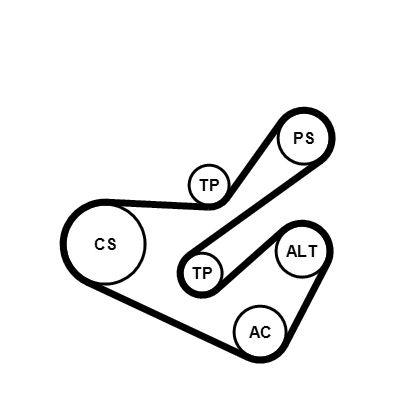 CONTITECH 6PK1740K1 V-Ribbed Belt Set