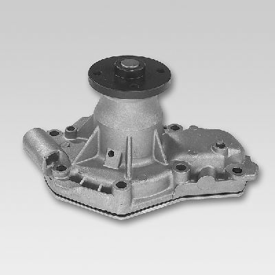 HEPU P822 Water Pump
