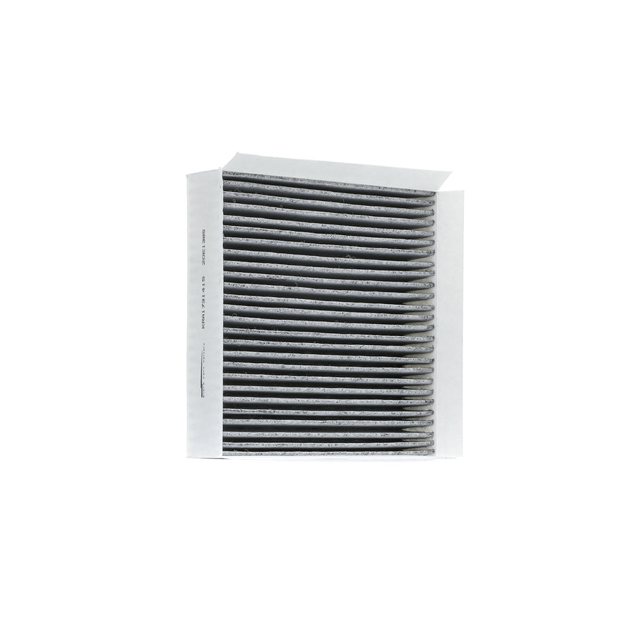 Kraft 1731415 Pollen Filter