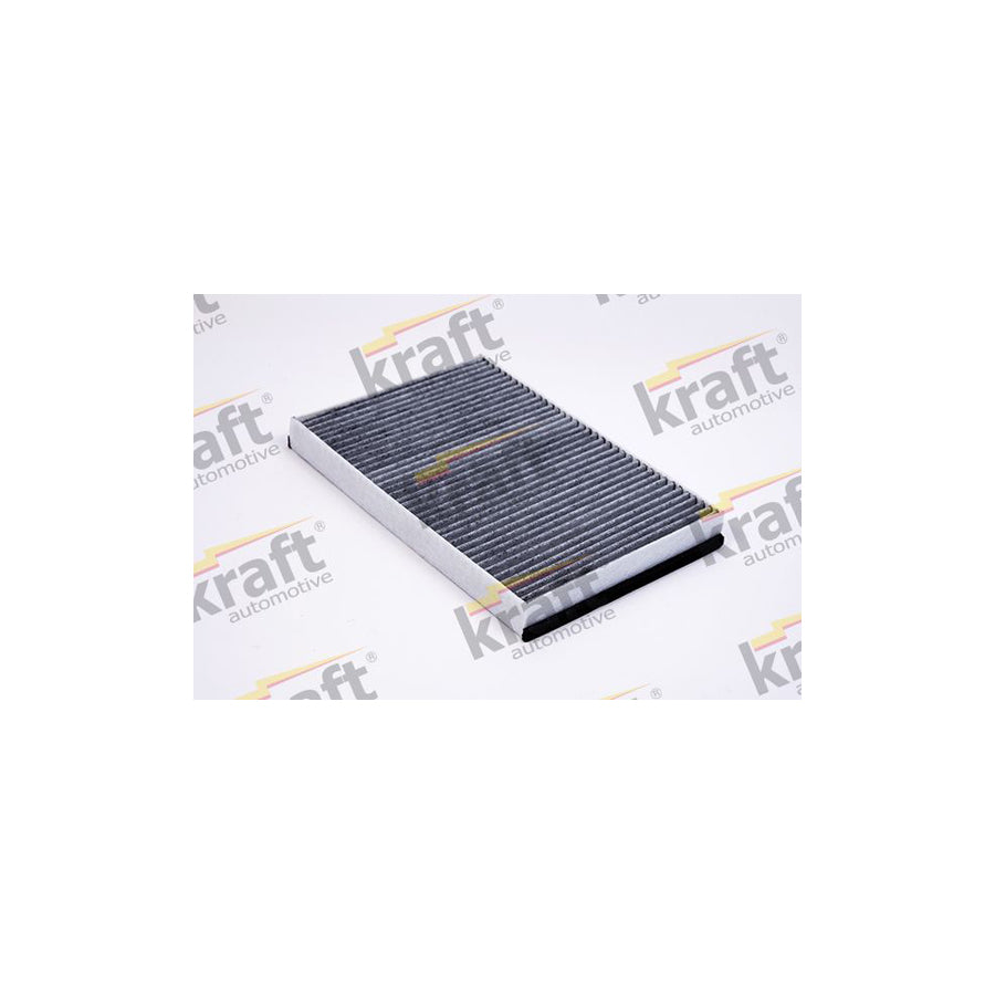 Kraft 1731504 Pollen Filter