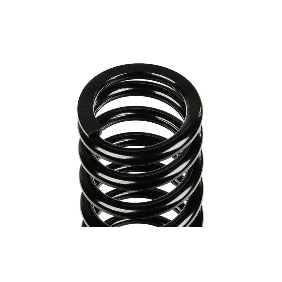 KYB RA1025 Coil Spring for Jaguar XK 8 Coupe (X100)