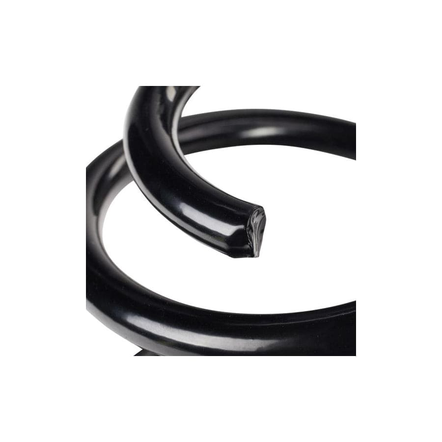 KYB RA6246 Coil Spring