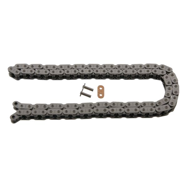 SWAG SW99110213 Timing Chain