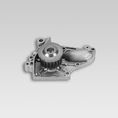 HEPU P763 Water Pump