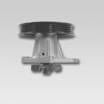 HEPU P723P Water Pump