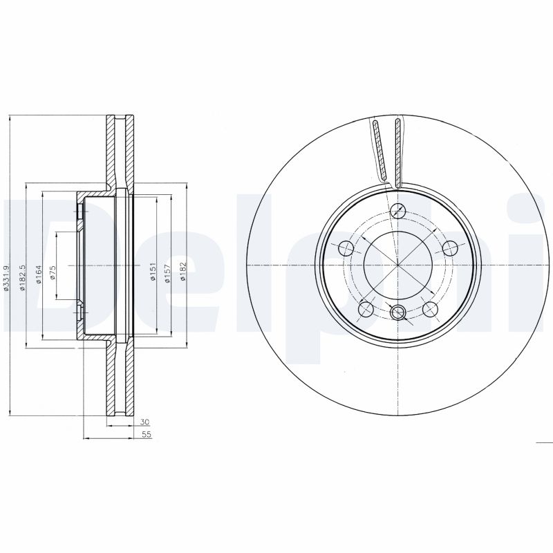 DELPHI BG9061 Brake Disc