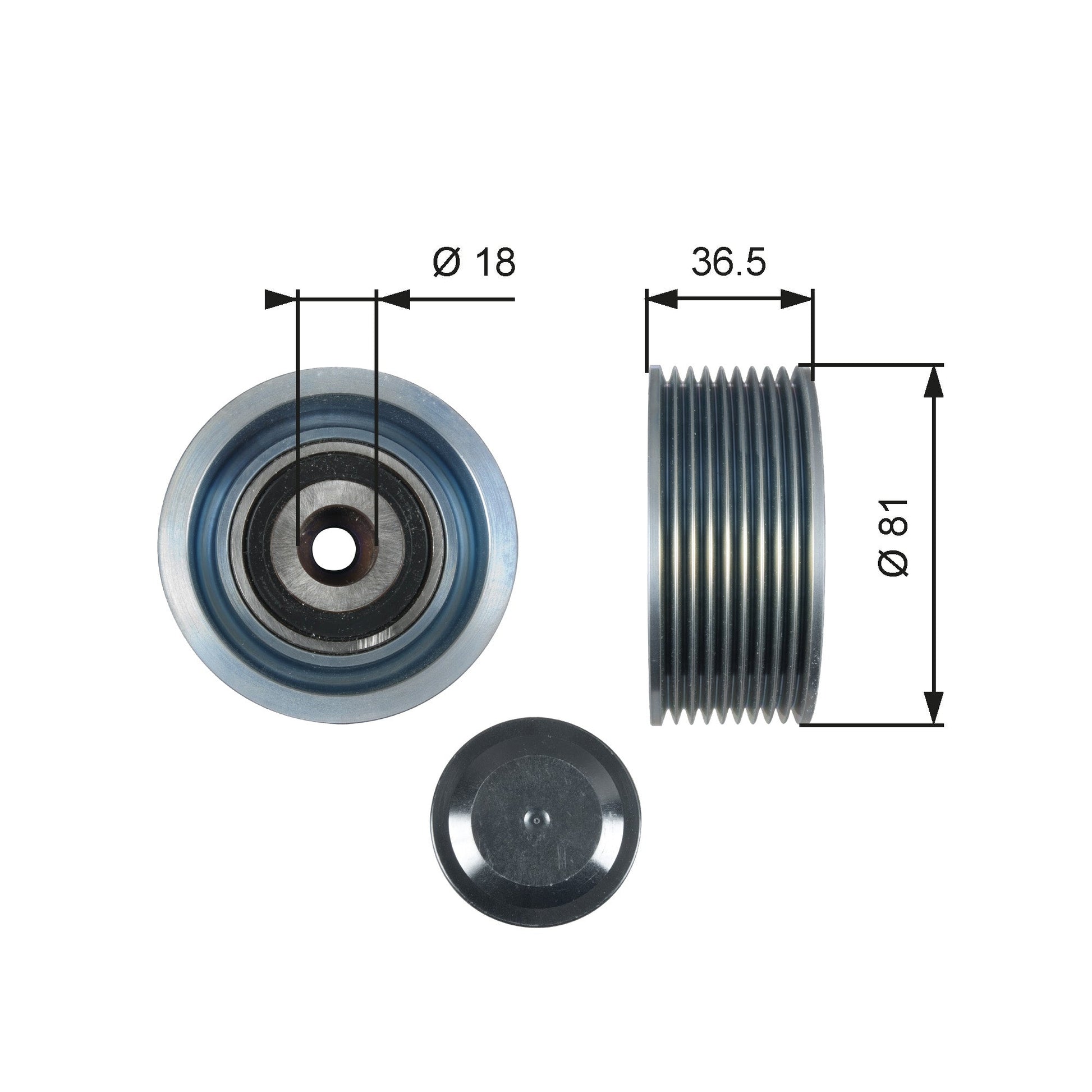 GATES GATT36508 V-Ribbed Belt Deflection/Guide Pulley