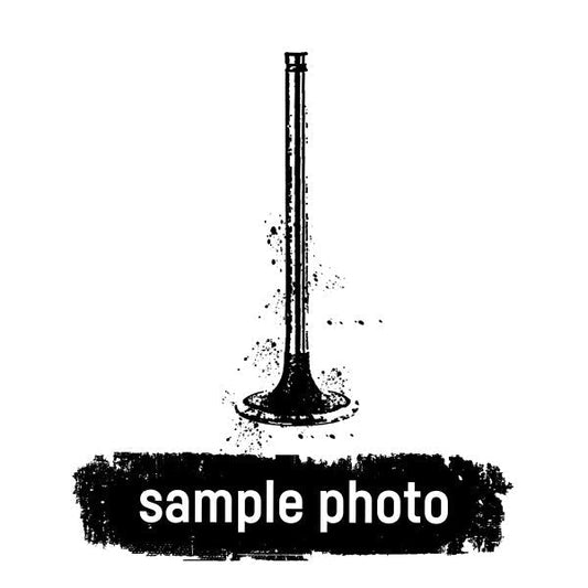 Mahle 021VE30383100 - Inlet valve