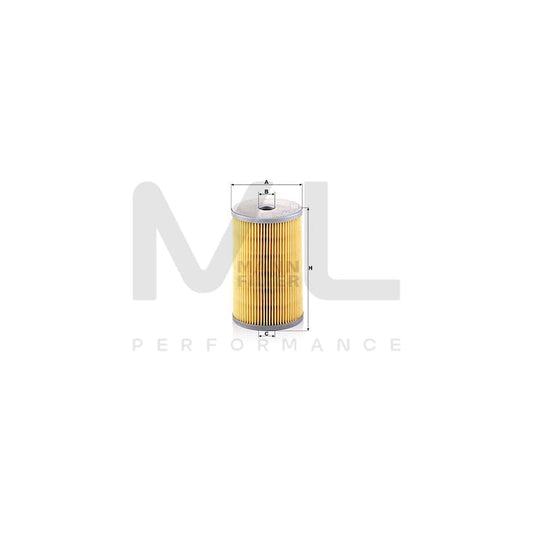 MANN-FILTER P 725 x Fuel filter with seal