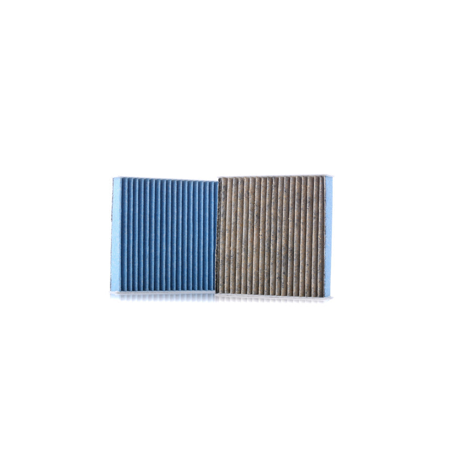 Master Sport 21000-2-IFB-SET-MS Pollen Filter