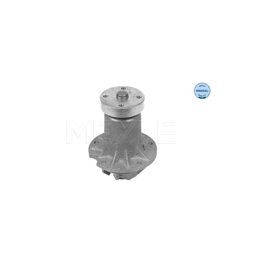 Meyle 013 026 0630 Water Pump