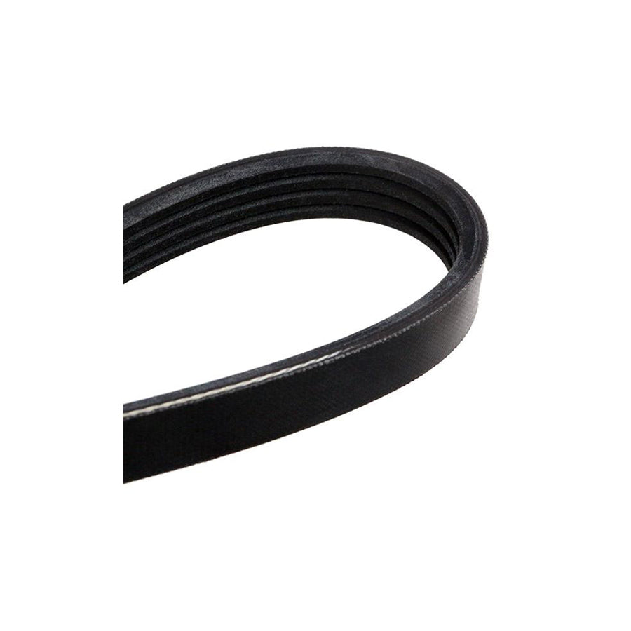 Meyle 050 004 0845 V-Ribbed Belt