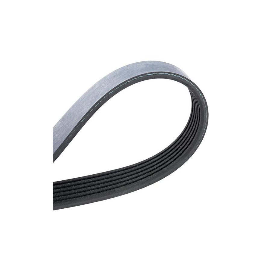 Meyle 050 006 2080 V-Ribbed Belt