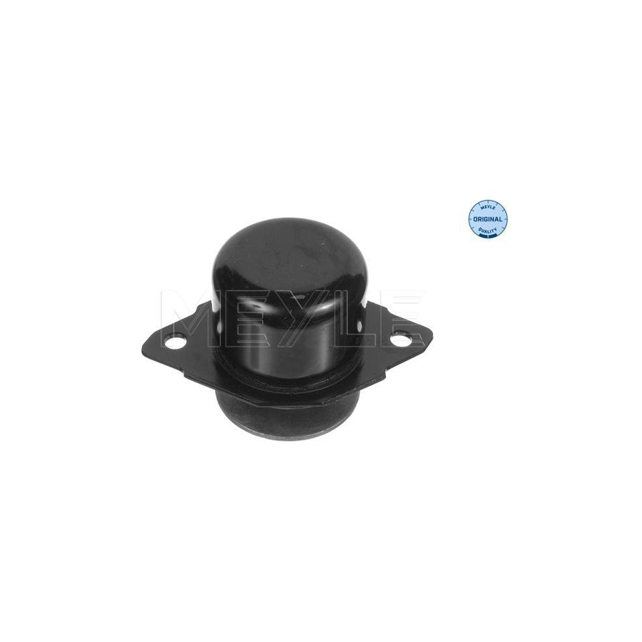 Meyle 100 199 0027 Engine Mount