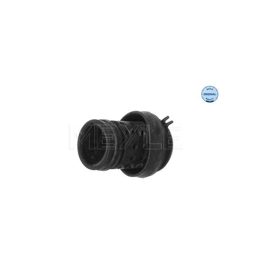 Meyle 100 199 0062 Engine Mount
