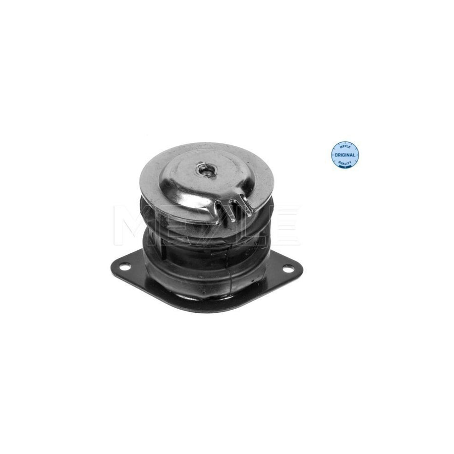 Meyle 100 199 0109 Engine Mount