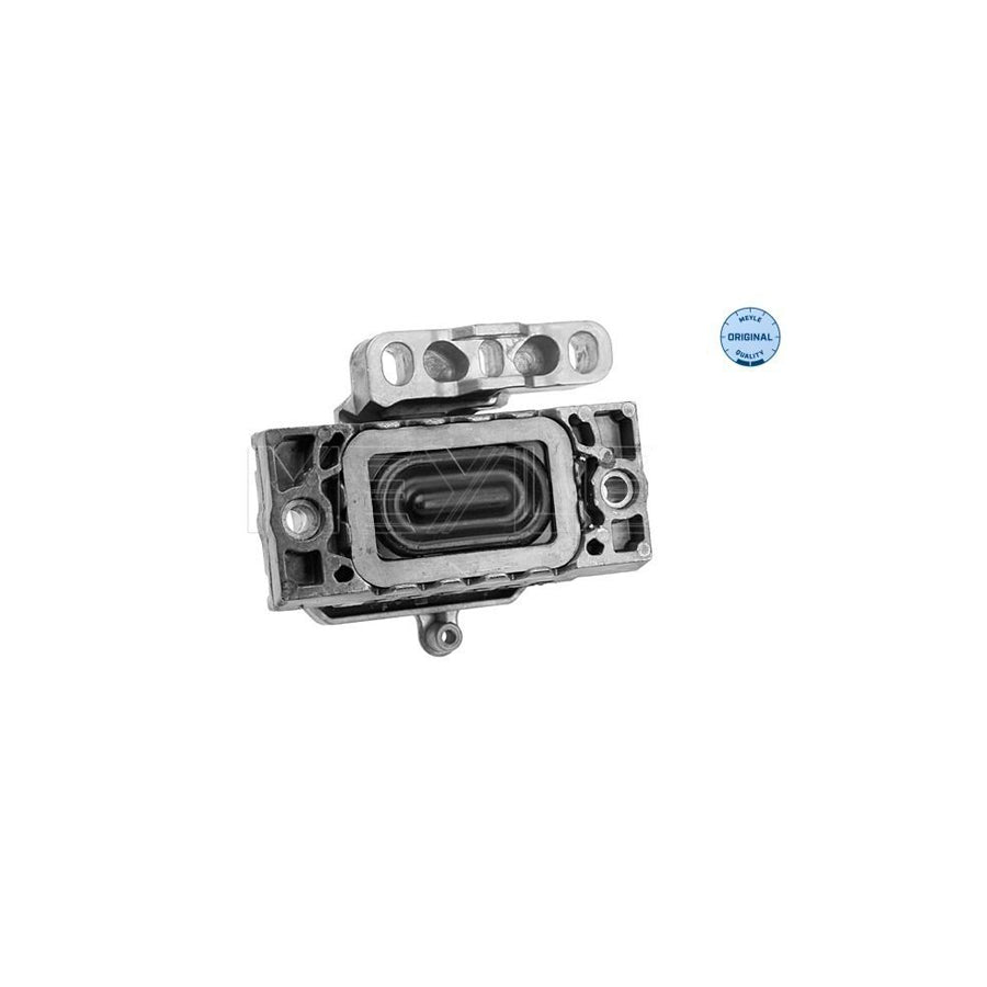 Meyle 100 199 0113 Engine Mount