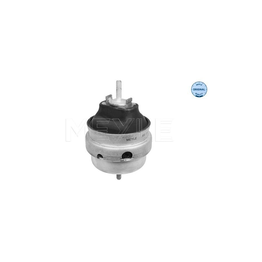 Meyle 100 199 0225 Engine Mount