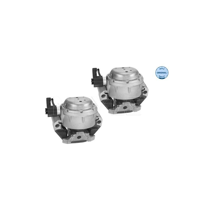 Meyle 100 199 3106/S Engine Mount For Audi A6