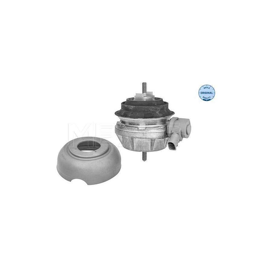 Meyle 100 199 3171 Engine Mount