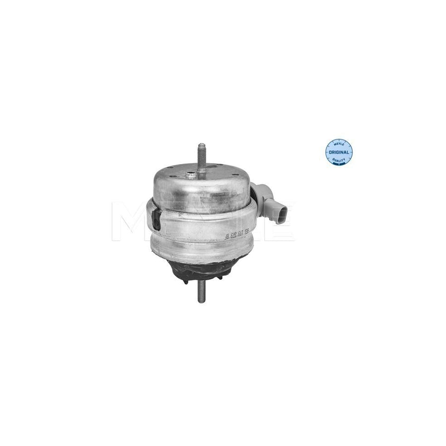 Meyle 100 199 3180 Engine Mount For Audi A4