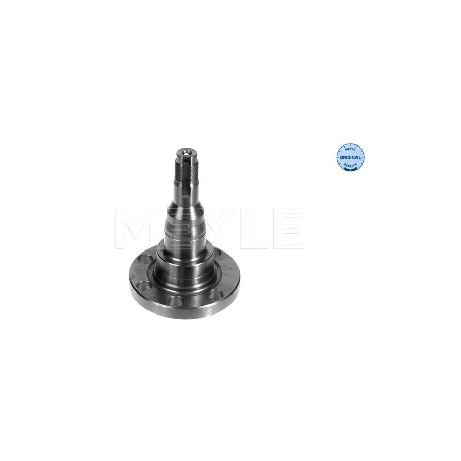 Meyle 100 501 1010 Wheel Hub