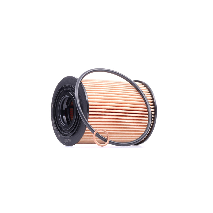 Meyle 29-14 322 0001 Oil Filter