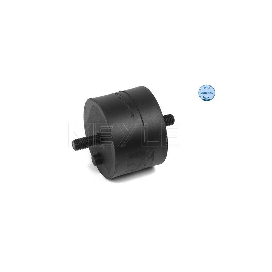 Meyle 300 118 1101 Engine Mount