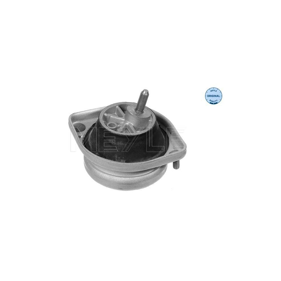 Meyle 300 221 1103 Engine Mount