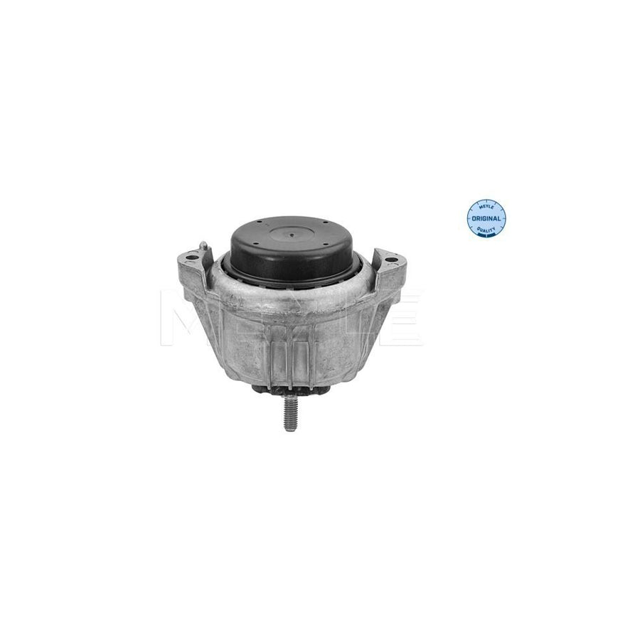 Meyle 300 221 1115 Engine Mount