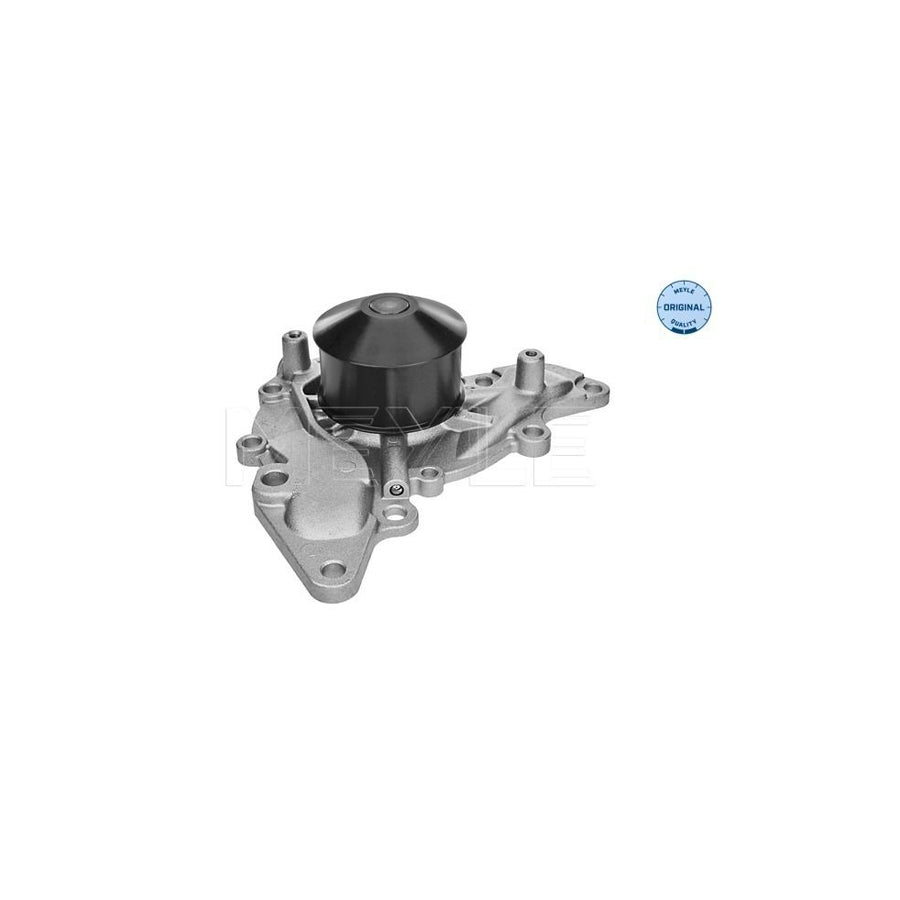 Meyle 32-13 097 0007 Water Pump