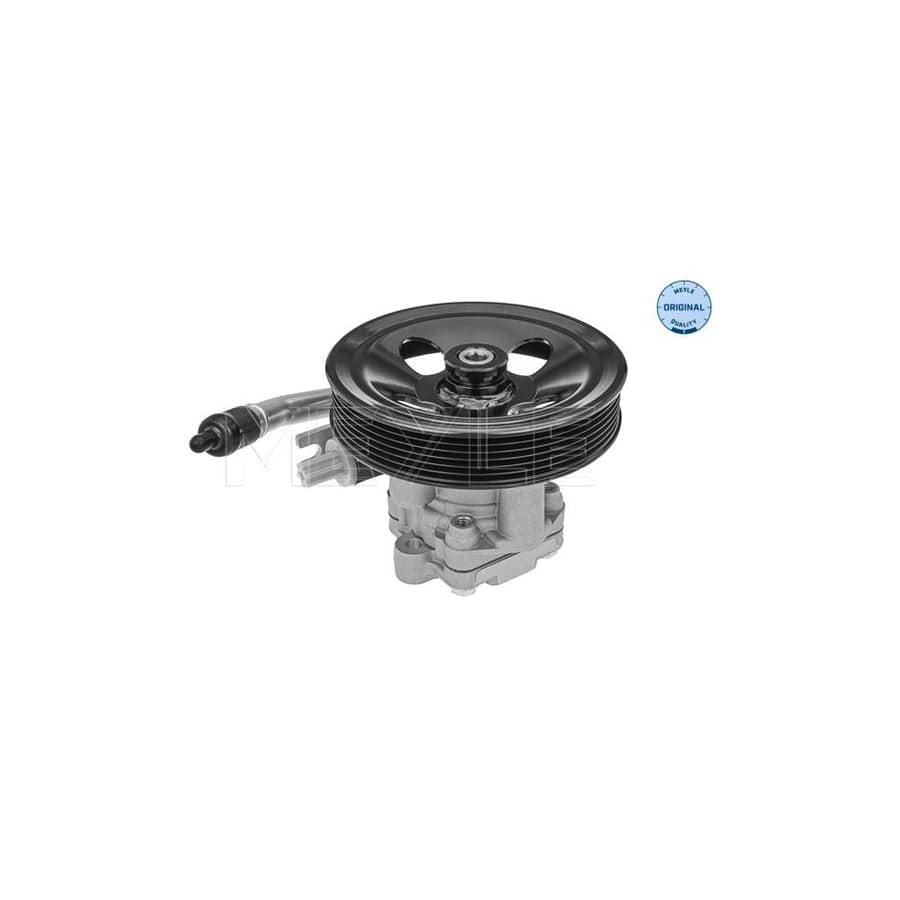 Meyle 37-14 631 0016 Power Steering Pump For Hyundai Santa Fe
