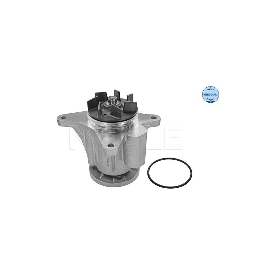 Meyle 53-13 220 0008 Water Pump