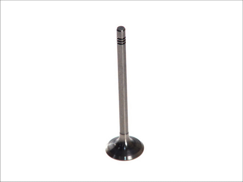 PARADOWSCY PVWG040 Exhaust Valve