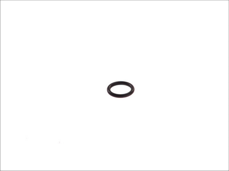 LEMA LE121055 Dipstick Gasket/Seal