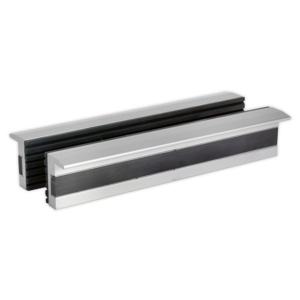 SEALEY SEAVSJ150 Vices Throngs Grips