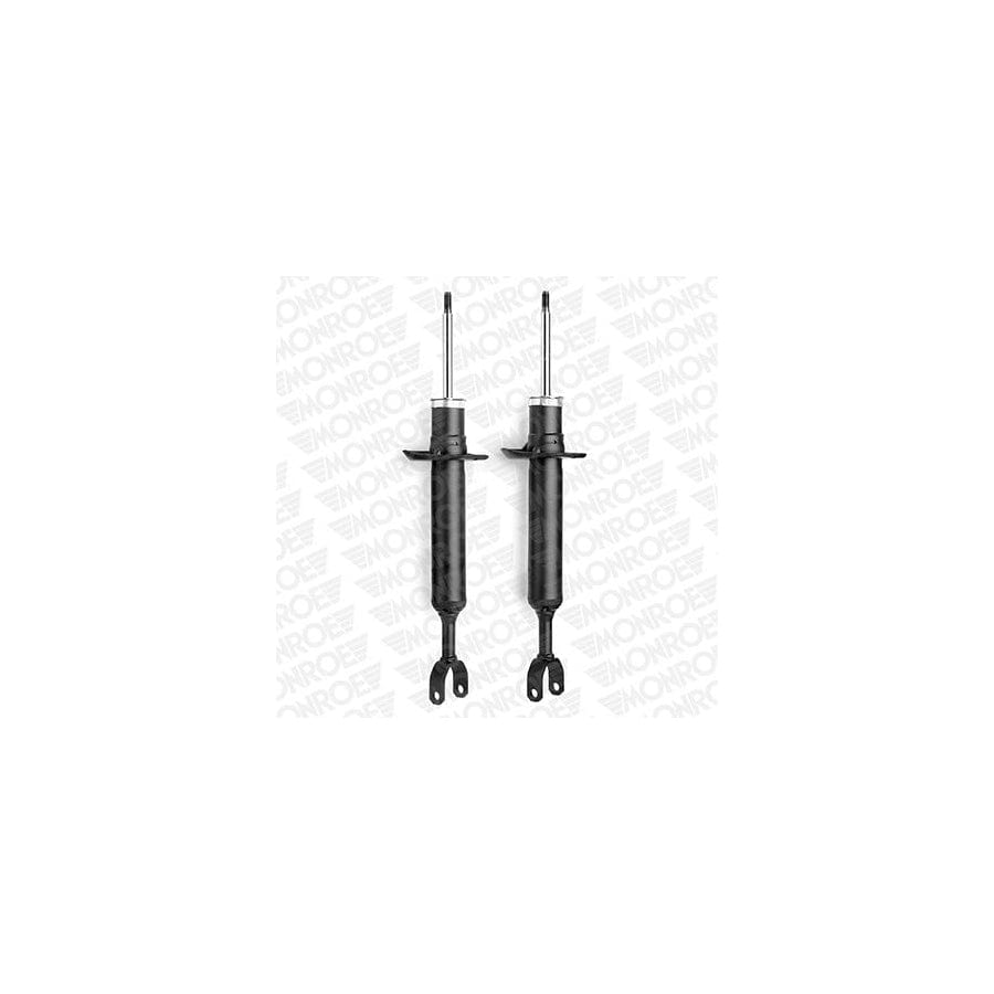 Monroe E2044 Shock Absorber for Audi A6