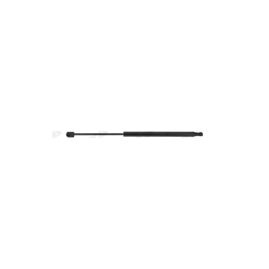 Monroe Ml6016 Tailgate Strut