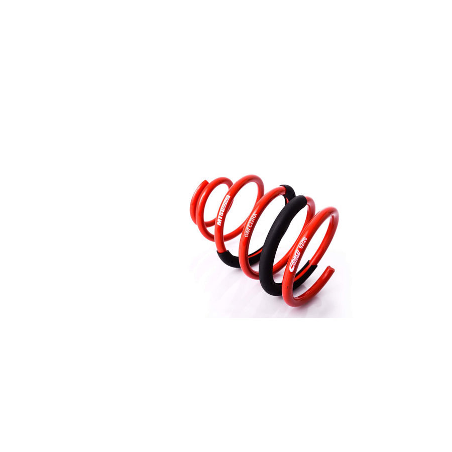 MTS Technik Alfa Romeo Fiat Opel Volkswagen Coil Spring - GWFE22HA Spare Parts