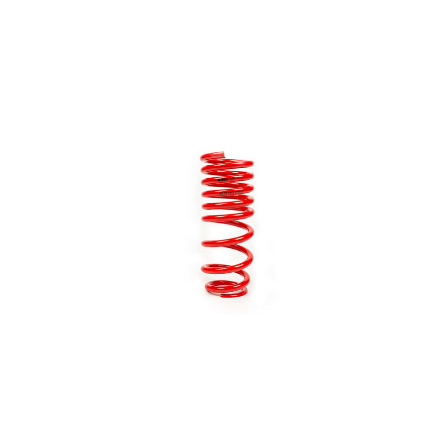 MTS Technik Audi Ford Coil Spring - GWFE20HA Spare Parts