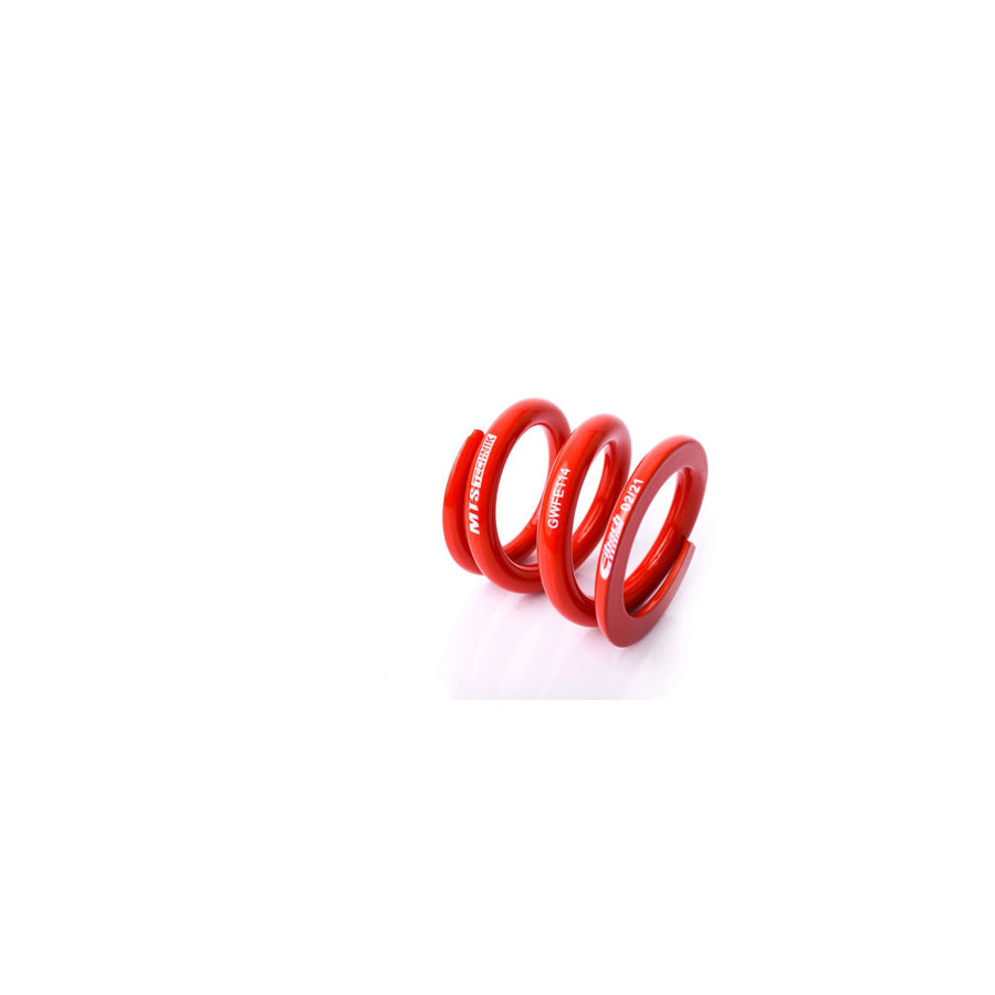 MTS Technik BMW Coil Spring - GWFE114 Spare Parts