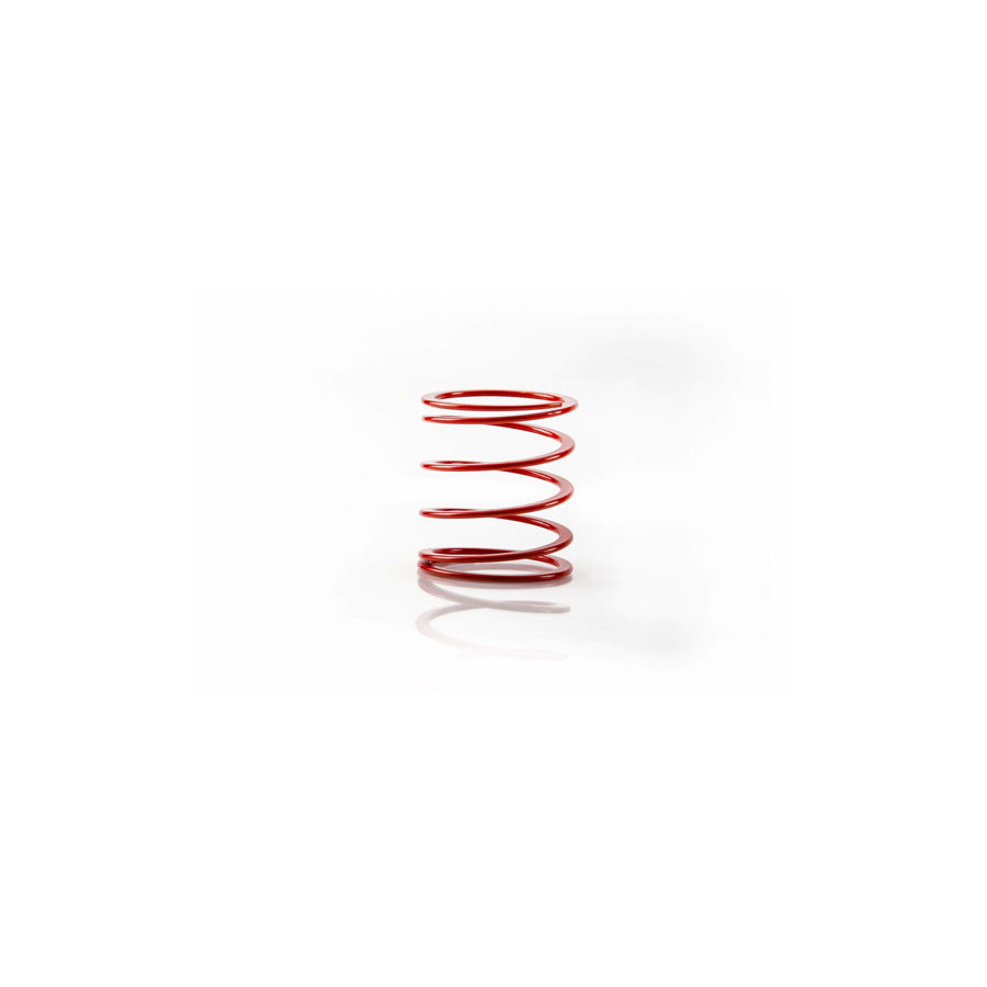 MTS Technik Ford Helper Coil Spring - GWHE26 Spare Parts