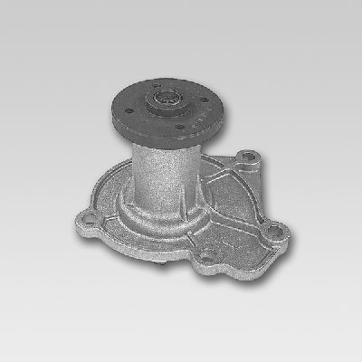 HEPU P710 Water Pump