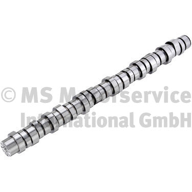 BF 20100413011 Camshaft